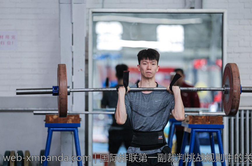 国际排联第一副裁判挑战规则中的关键技术与判断依据