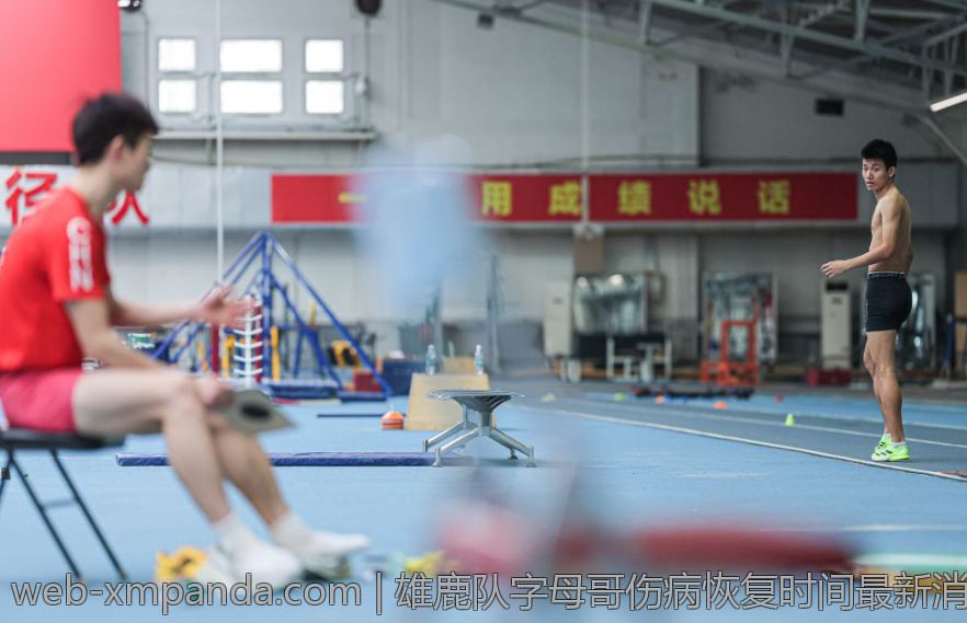 雄鹿队字母哥伤病恢复时间最新消息